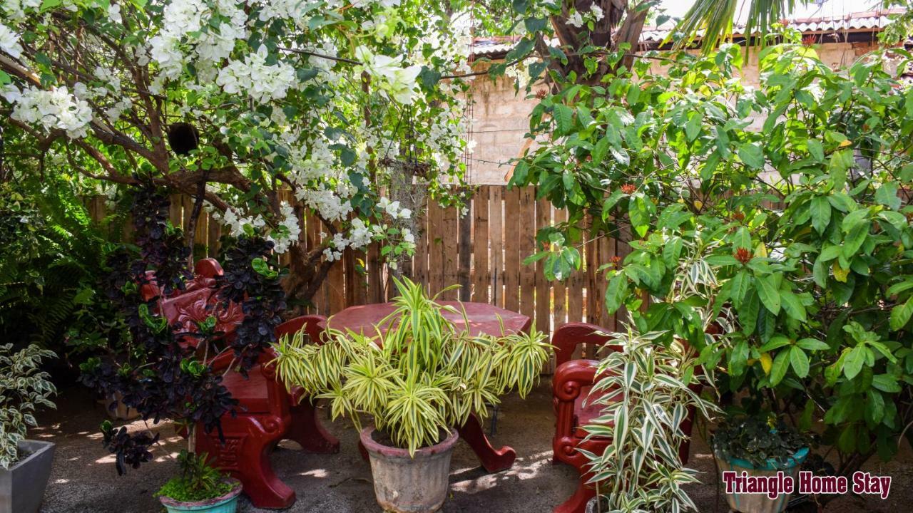 Triangle Home Stay Dambulla Kültér fotó